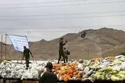 امحاء پنجاه و شش تن ماده مخدر / گزارش تصویری