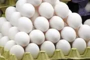 صادرات تخم‌مرغ افزایش می‌یابد
