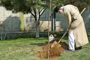 رهبری دو اصله نهال میوه کاشتند/گزارش تصویری