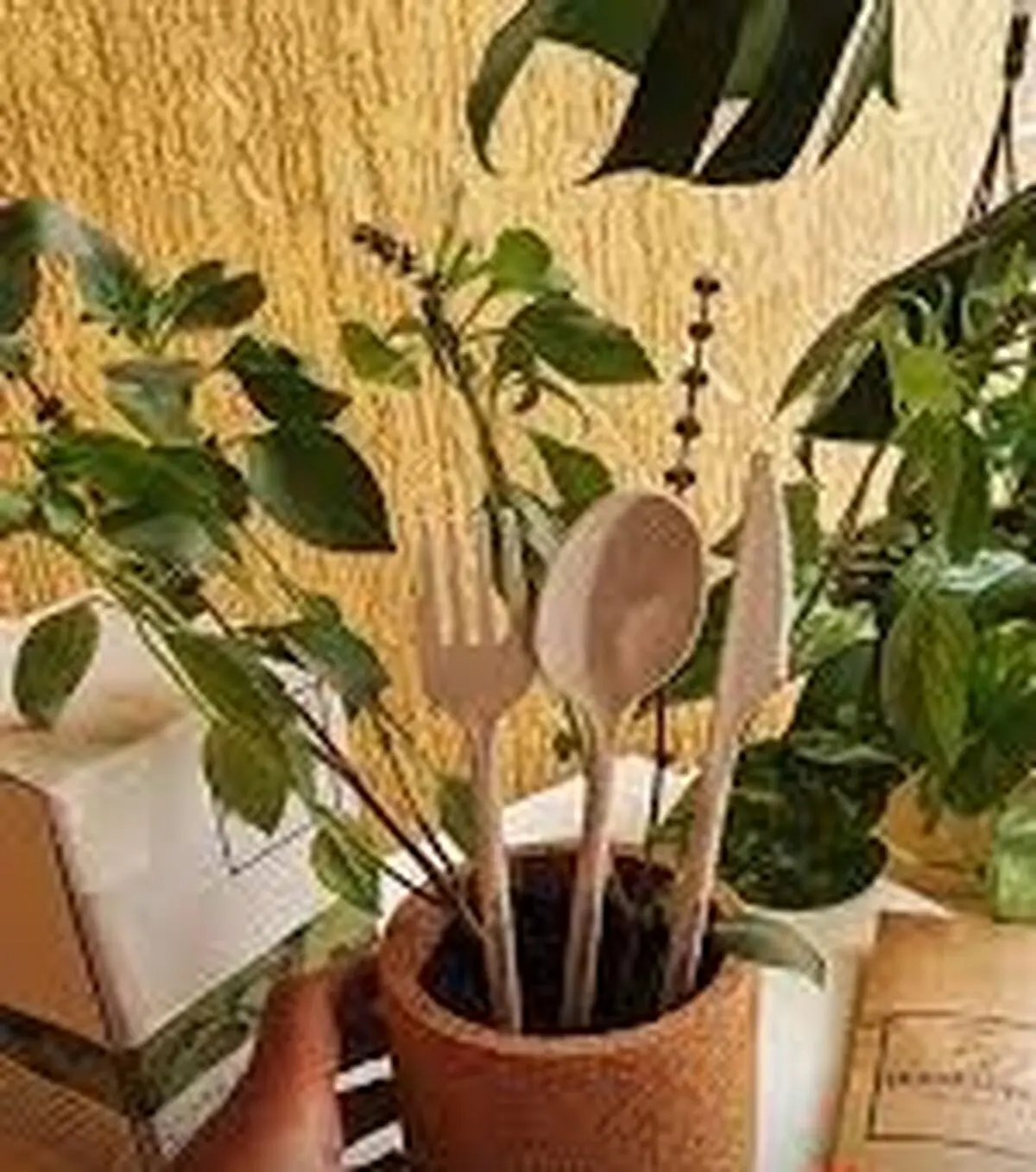قاشق و چنگال‌های «کاشتنی»، ابداع شرکت اماراتی
