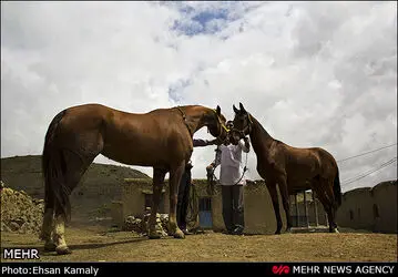 n00149645-r-b-009