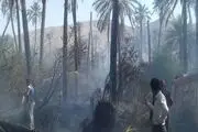 
10 هکتار از مرکبات ونخیلات روستای توش احمدی درآتش سوخت+تصاویر