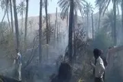 
10 هکتار از مرکبات ونخیلات روستای توش احمدی درآتش سوخت+تصاویر