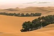 بیابان، عروس زاگرس را می بلعد