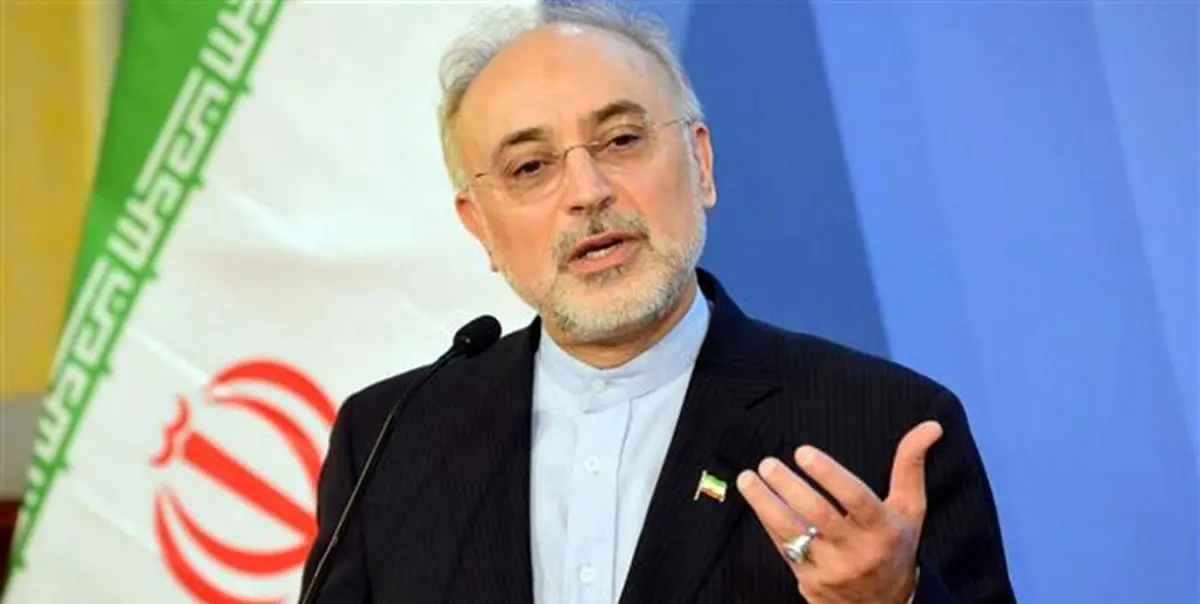 صالحی: حاج قاسم یک دولتمرد بود