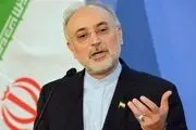 صالحی: حاج قاسم یک دولت‌مرد بود