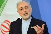 صالحی: حاج قاسم یک دولت‌مرد بود