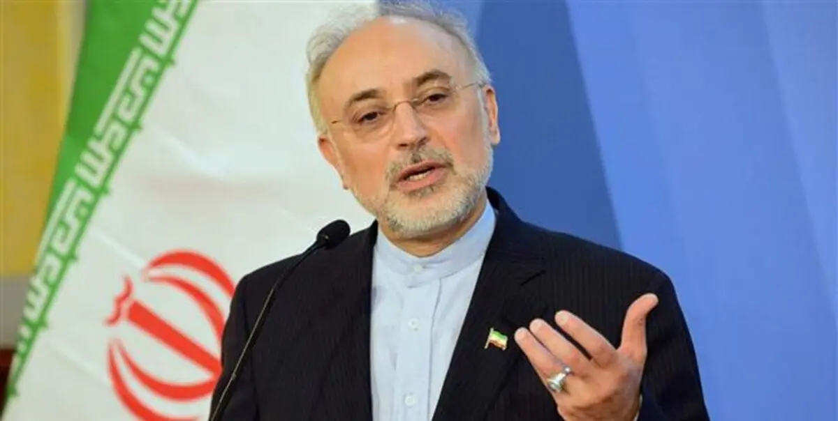 صالحی: حاج قاسم یک دولت‌مرد بود