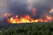 مهار آتش سوزی جنگل های بخش الوار اندیمشک 