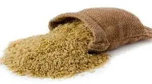 پرونده برنج های آلوده در چه مرحله ای است؟