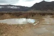 وزش باد و کاهش آلودگی هوای تهران
