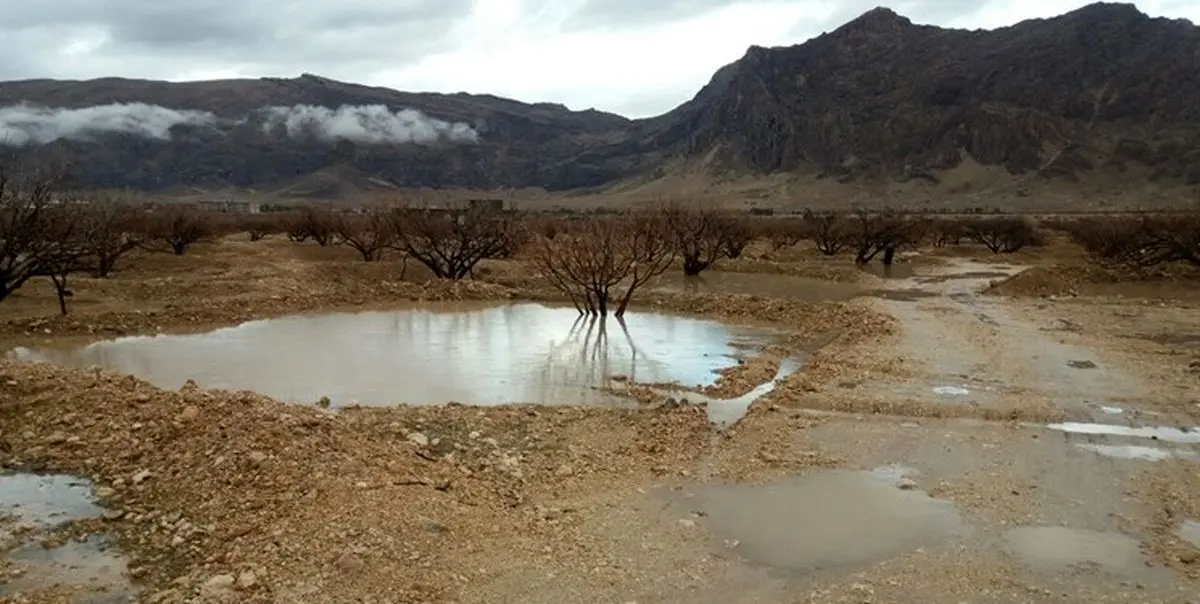 وزش باد و کاهش آلودگی هوای تهران