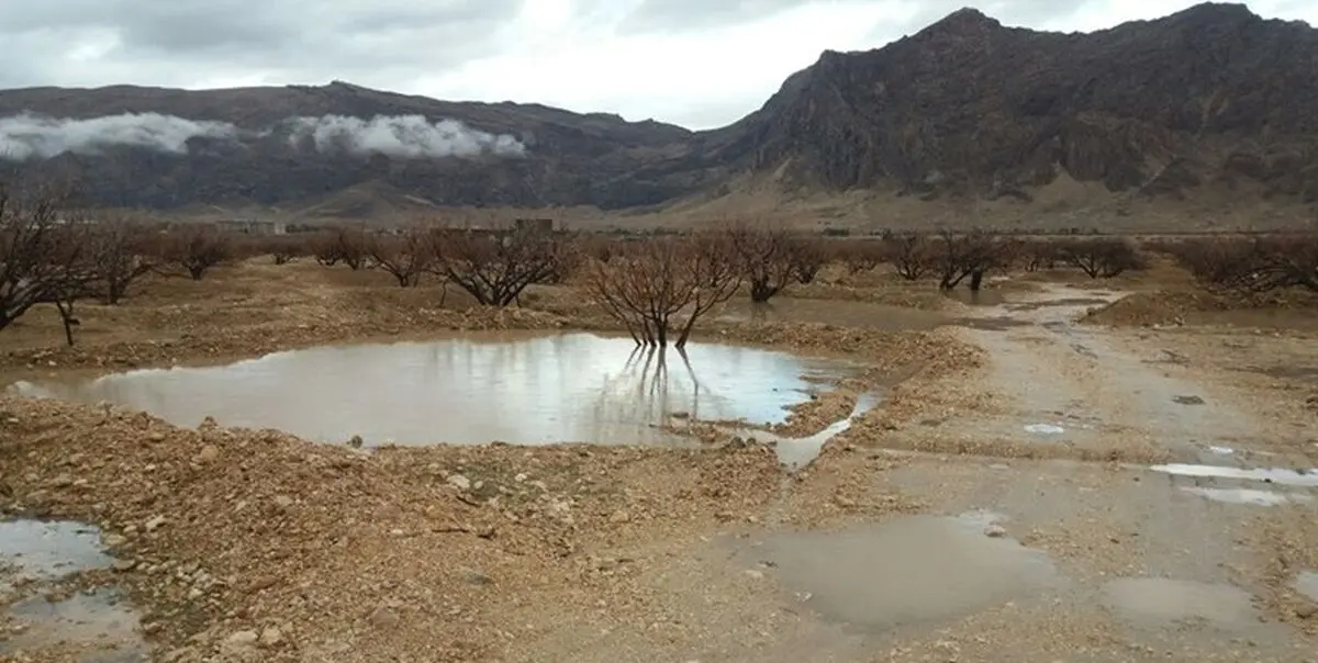 وزش باد و کاهش آلودگی هوای تهران