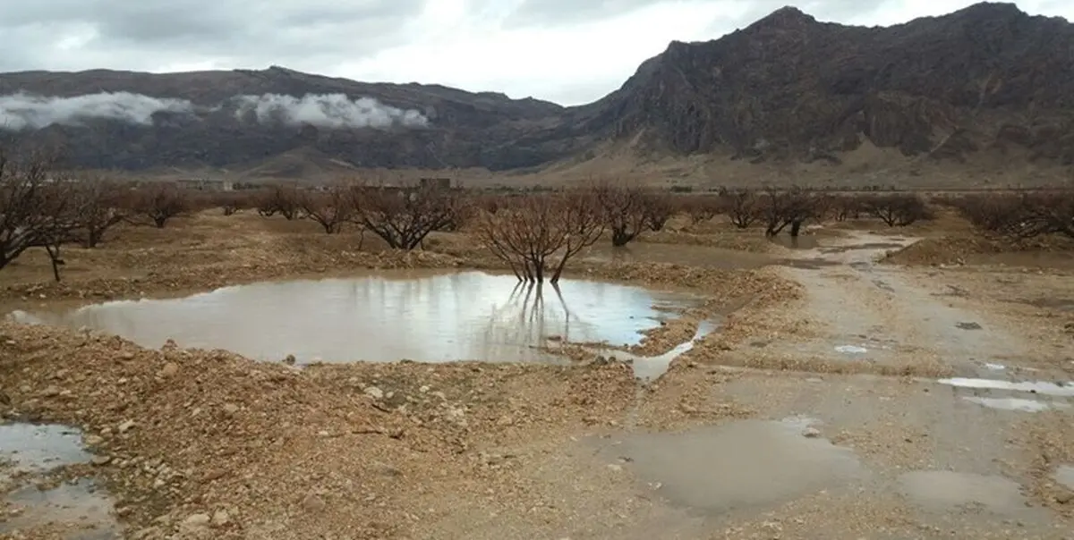وزش باد و کاهش آلودگی هوای تهران