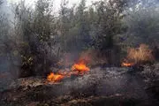 
۵۰ هکتار از اراضی ملی نورآباد در آتش سوخت
