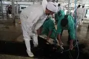 حذف ناظر دامپزشک به بهانه کاهش هزینه‌های واردات گوشت! 