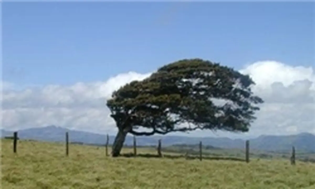  وزش باد با سرعت 20 کیلومتر بر ساعت در تهران