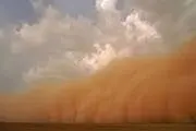دفن نخلستان‌ها در زیر شن!