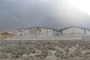 کارخانه چیپس افوس به بهره برداری می رسد
