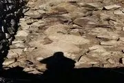 بیش از 70 راس گوسفند براثر آوار در تویسرکان تلف شد