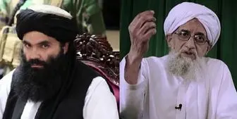 الظواهری در خانه دستیار وزیر طالبان هدف قرار گرفت