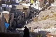  حاشیه نشینی زخمی کاری ولی کهنه در استان مرکزی