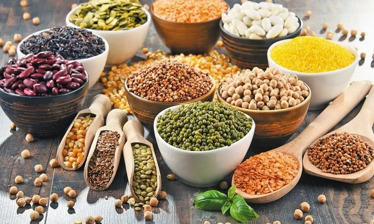 انواع حبوبات را در بازار چند بخریم؟ + فهرست قیمت
