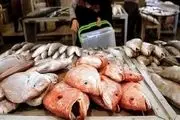 آخرین قیمت ماهی سفید در بازار/ ماهی سفید نجومی شد