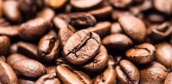 همه آنچه درباره قهوه باید بدانید