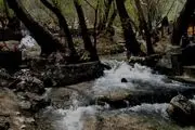 تصاویر زیبایی از یک روز بهاری در سراب گیان نهاوند