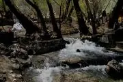 تصاویر زیبایی از یک روز بهاری در سراب گیان نهاوند