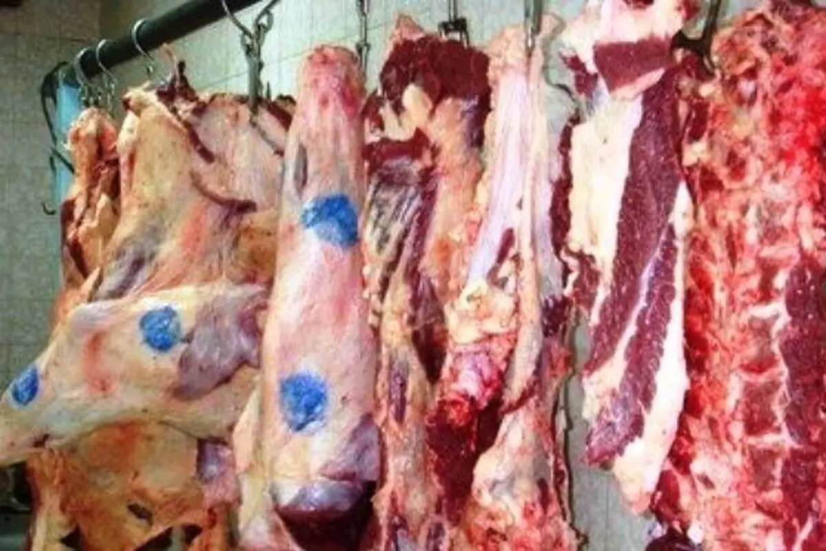 گوشت ارزان می شود