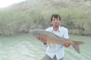 آغاز صید ماهیان گرمابی از بزرگترین طرح های اقتصادمقاومتی جنوب شرق کشور+ تصاویر