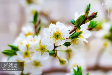 4ReKNV3YK6PZ