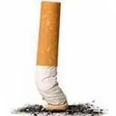دردسری جهانی به نام ته ‌سیگار 