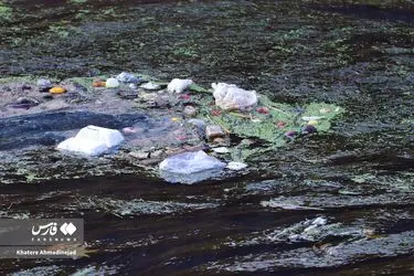 35429950e818443896b5b5a032d59863