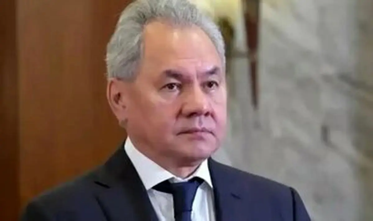 هشدار شویگو درباره تولد «جنین‌های ناتو» در شرق