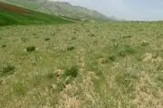 طرح کمربند حفاظتی برای مشخص کردن مرز اراضی ملی و غیر ملی انجام شد