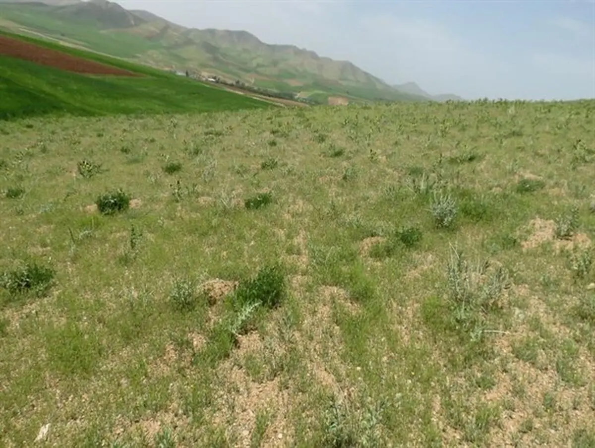 طرح کمربند حفاظتی برای مشخص کردن مرز اراضی ملی و غیر ملی انجام شد