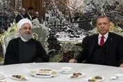 جزئیاتی از دیدار روحانی و اردوغان