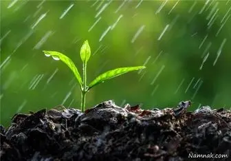 روایتی جالب از عکس العمل امام علی(ع) در هنگام بارش باران
