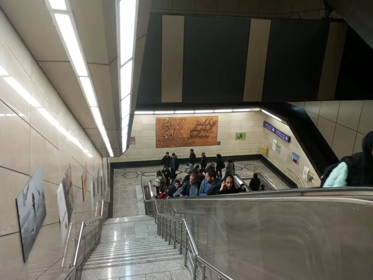 از دیدن این حیوانات در مترو تهران تعجب نکنید!