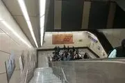 از دیدن این حیوانات در مترو تهران تعجب نکنید!