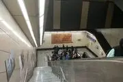 از دیدن این حیوانات در مترو تهران تعجب نکنید!