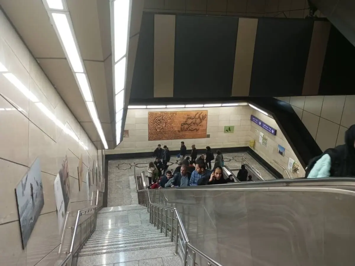 از دیدن این حیوانات در مترو تهران تعجب نکنید!