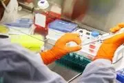 توصیه تزریق واکسن ایموانکس علیه آبله میمونی در آلمان
