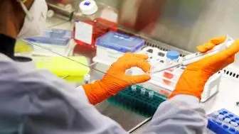 توصیه تزریق واکسن ایموانکس علیه آبله میمونی در آلمان

