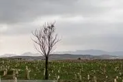قبرستان قربانیان زلزله سرپل ذهاب/ عکس