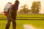 نقش انرژی هسته‌ای در تولیدات کشاورزی و اصلاح بذر