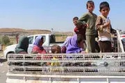 بازگشت بیش از نصف آوارگان عراقی